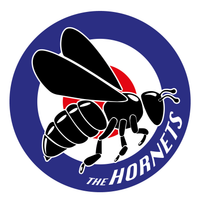 Sunday 30th August Bank Holiday IOW Weekend 2026 - The Small Fakers & The Hornets