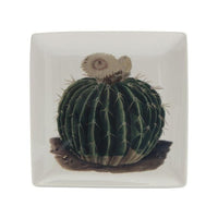 Magpie Large Cactus Trinket Dish